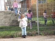 fruehjahrsputz2019-15