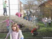 fruehjahrsputz2019-17