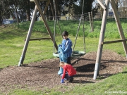 fruehjahrsputz2019-29