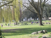 fruehjahrsputz2019-40