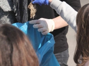 fruehjahrsputz2019-6