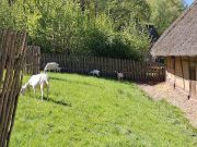 Kommern017